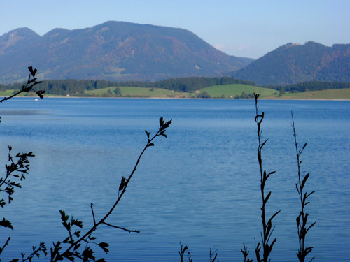 Forggensee.